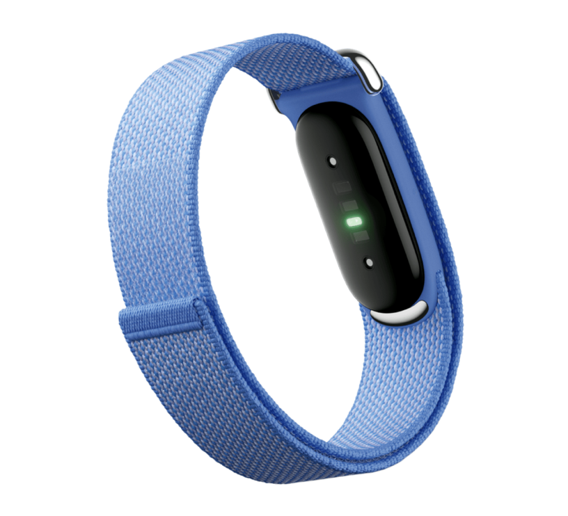 Фитнес-браслет Google Fitbit Air (Lavender, голубая лаванда)