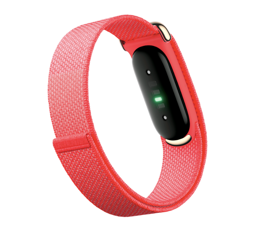 Фитнес-браслет Google Fitbit Air (Berry, ягода)