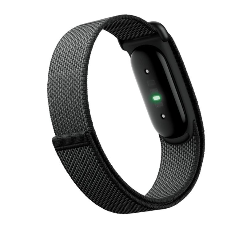 Фитнес-браслет Google Fitbit Air (Obsidian,чёрный обсидиан)