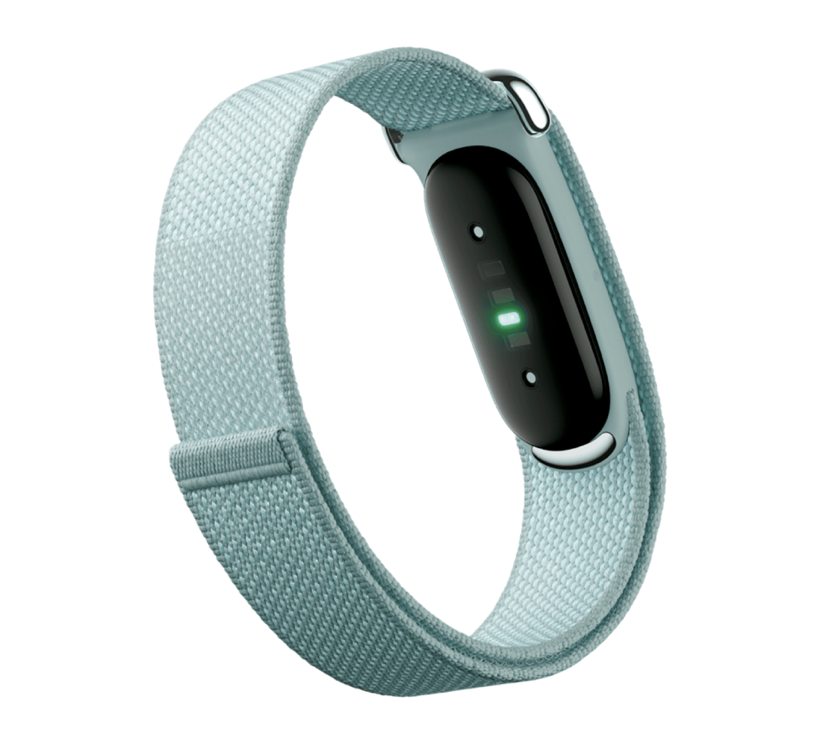 Фитнес-браслет Google Fitbit Air (Fog, туман)